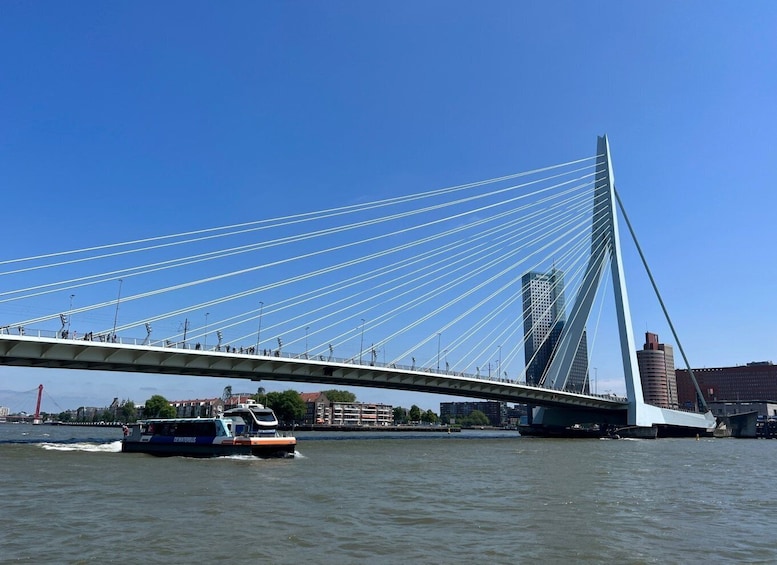 Rotterdam: Waterbus Day Ticket to Kinderdijk and Dordrecht