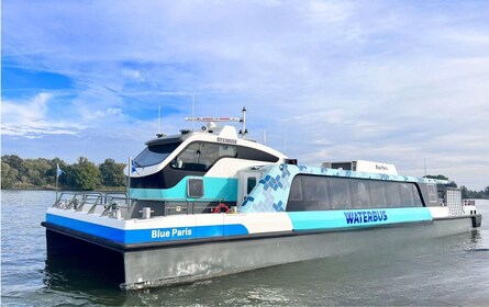 Rotterdam: Waterbus Ticket to Dordrecht and/or Kinderdijk