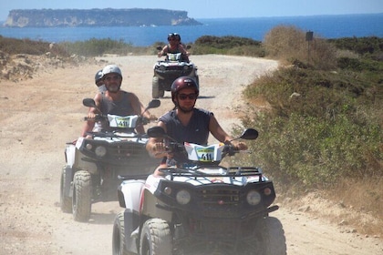 Quad or Buggy Tour to Akamas Forest and Latchi Harbour
