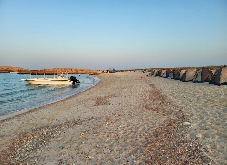 Picture 17 for Activity Muscat: Daymaniat Islands Snorkeling Tour with Refreshments