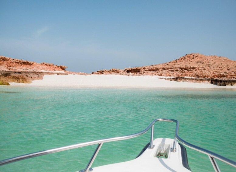 Picture 7 for Activity Muscat: Daymaniat Islands Snorkeling Tour with Refreshments