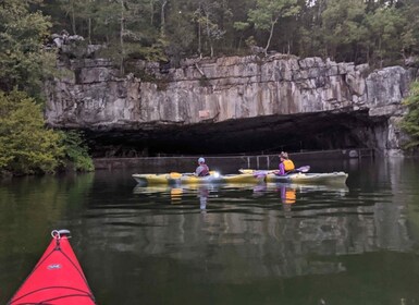 South Pittsburg: Guided Nickajack Bat Cave Kayaking Tour