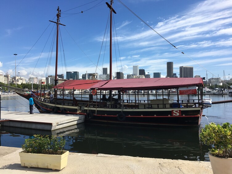Rio by the Sea with Guanabara Bay Cruise & Christ the Redeemer by Train