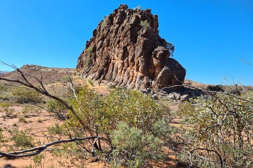 Alice Town Highlights and MacDonnell Ranges Full-Day Tour