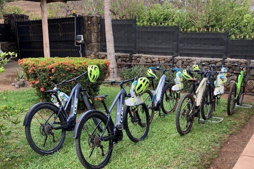 E-MTB Las Pilas Waterfall Tour