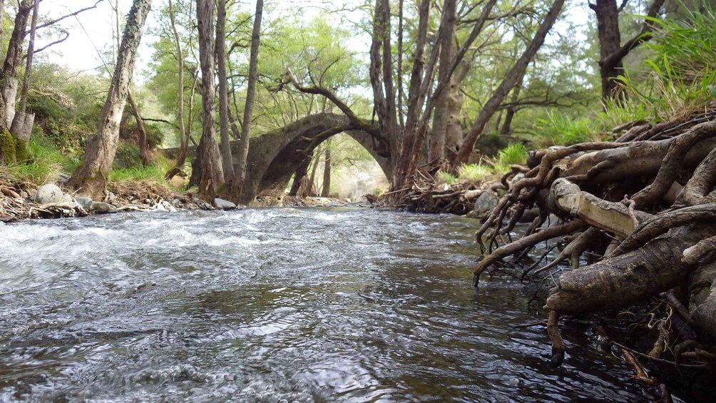 Picture 1 for Activity Explore Omodos Village on foot & walk around Kelephos bridge