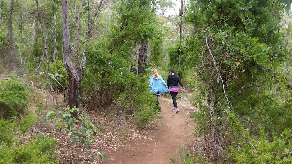Show item 2 of 6. Two women walking down trail in Porongurup National Park