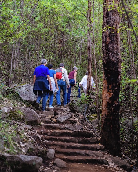 Granite Skywalk Climb & Porongurup Wine Tasting Excursion