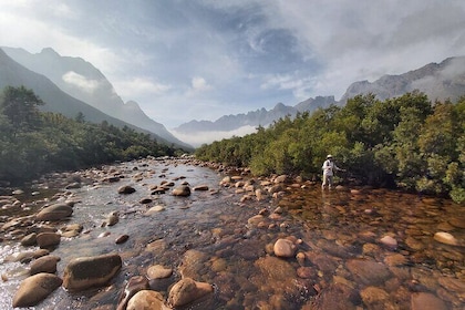 Fly Fishing in Cape Town for Five Hours