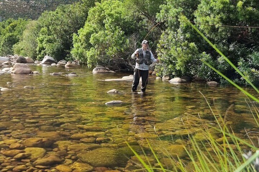 Fly Fishing in Cape Town for Five Hours