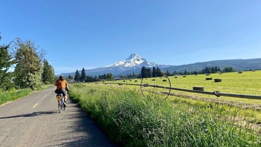 open road with nothing but mountain