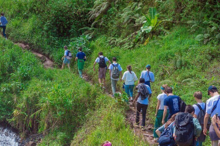 A group of tourists heading to Materuni waterfalls