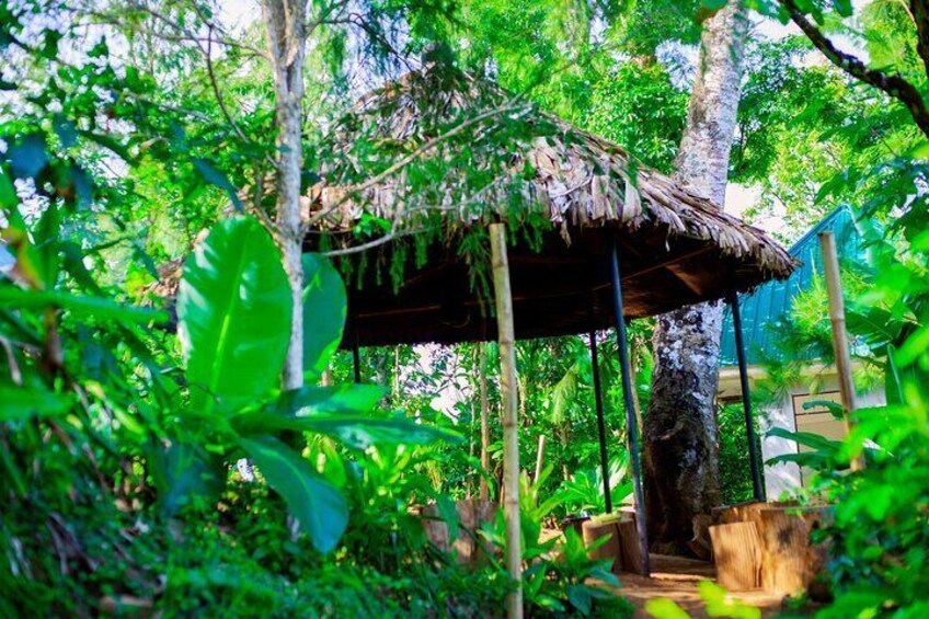 Our Coffee Experience area