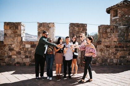 San Francisco: tour privado de vinos por la reserva del valle de Napa
