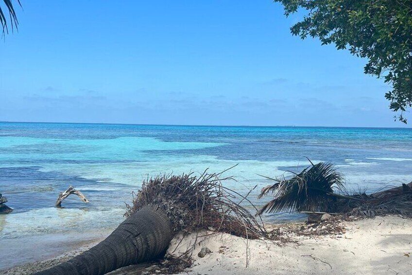 Half Day Snorkel to Laughing Bird Caye