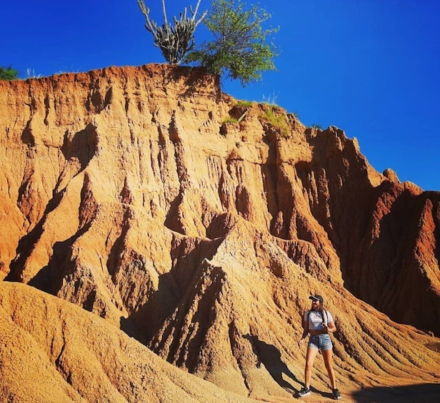 Picture 3 for Activity Neiva: Guided Day Trip to the Tatacoa Desert with Lunch