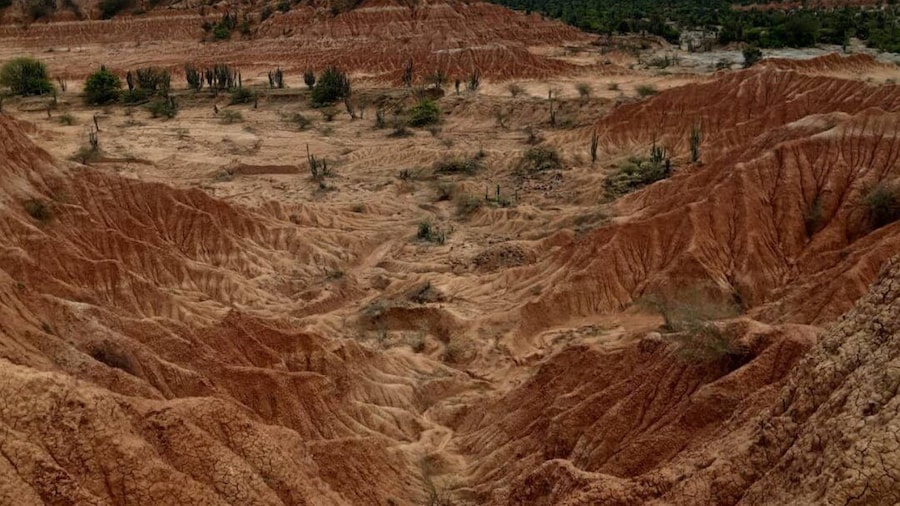 Neiva: Guided Day Trip to the Tatacoa Desert with Lunch
