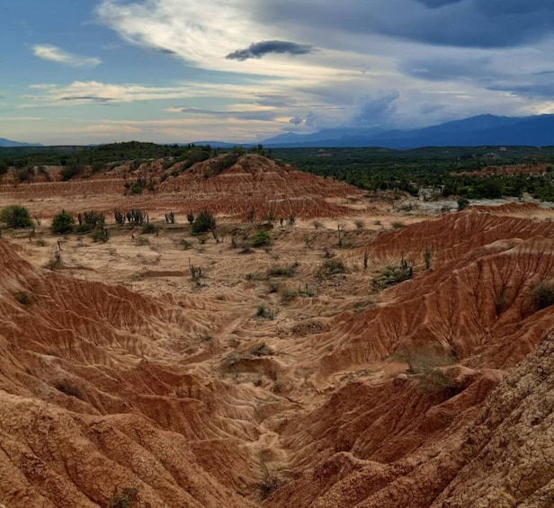 Neiva: Guided Day Trip to the Tatacoa Desert with Lunch