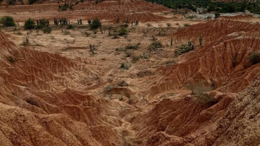 Neiva: Guided Day Trip to the Tatacoa Desert with Lunch