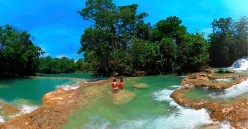 From Palenque: Roberto Barrios Waterfalls Excursion