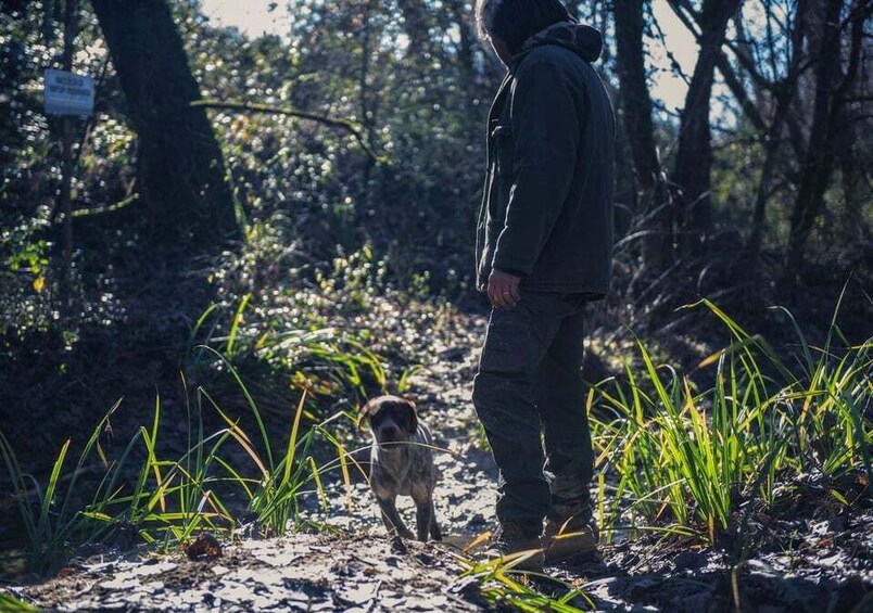 Toscana: Truffle Hunting and Tasting