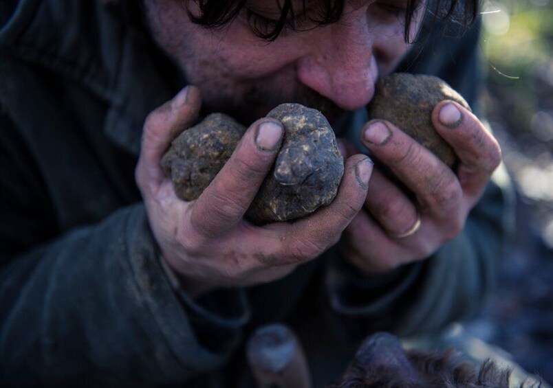 Picture 3 for Activity Toscana: Truffle Hunting and Tasting