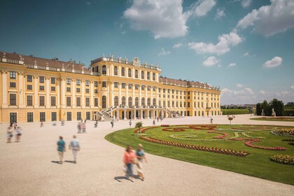 Wien: Inträdesbiljett till slottet Schönbrunn och vinprovning