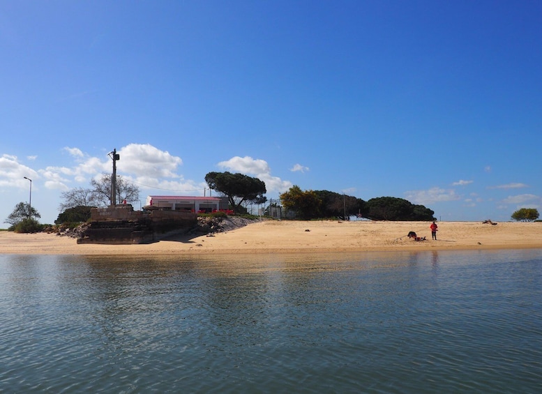 Lisbon: Full-Day Sightseeing Boat Trip