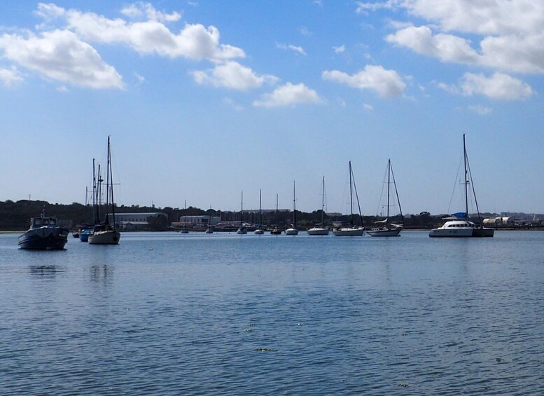 Picture 2 for Activity Lisbon: Full-Day Sightseeing Boat Trip