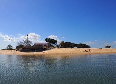 Lissabon: Ganztägige Sightseeing-Bootsfahrt