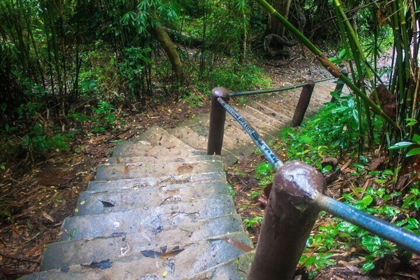 Full-Day Tour to Khao Yai National Park