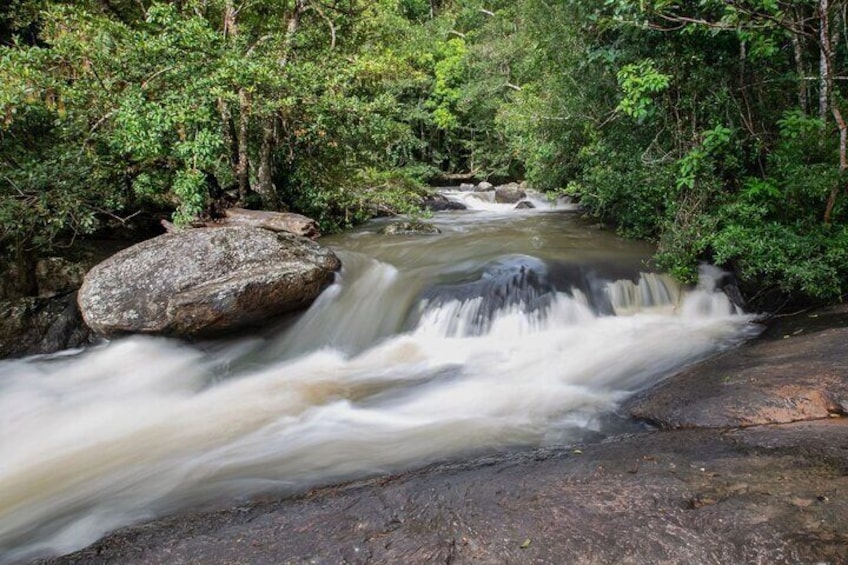 Full-Day Tour to Khao Yai National Park 