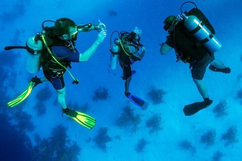 PADI Deep Diver Specialty Course in Al Dana Island