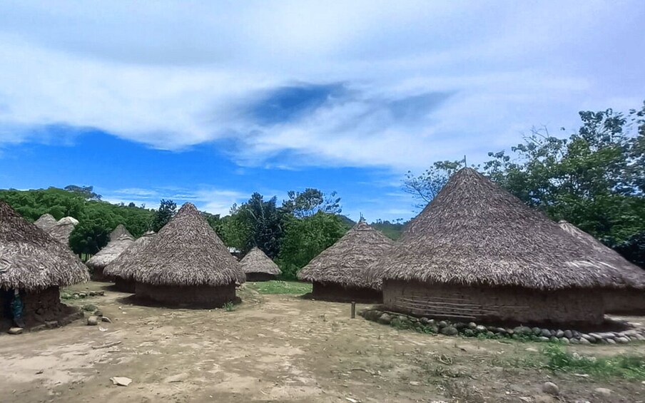 Picture 5 for Activity Palomino: Private Tour to Tungueka Indigenous Village