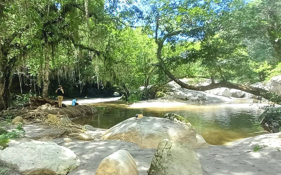 Picture 3 for Activity Palomino: Private Tour to Tungueka Indigenous Village