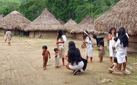 Palomino: Private Tour to Tungueka Indigenous Village