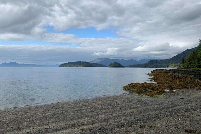 Ketchikan Low Tide Excursion & Beach Bonfire