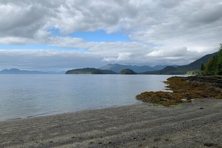 Ketchikan Low Tide Excursion & Beach Bonfire