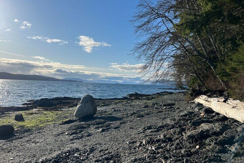 Ketchikan Low Tide Excursion & Beach Bonfire