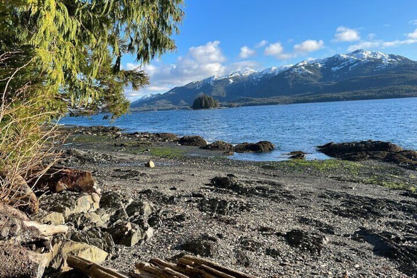 Ketchikan Low Tide Excursion & Beach Bonfire