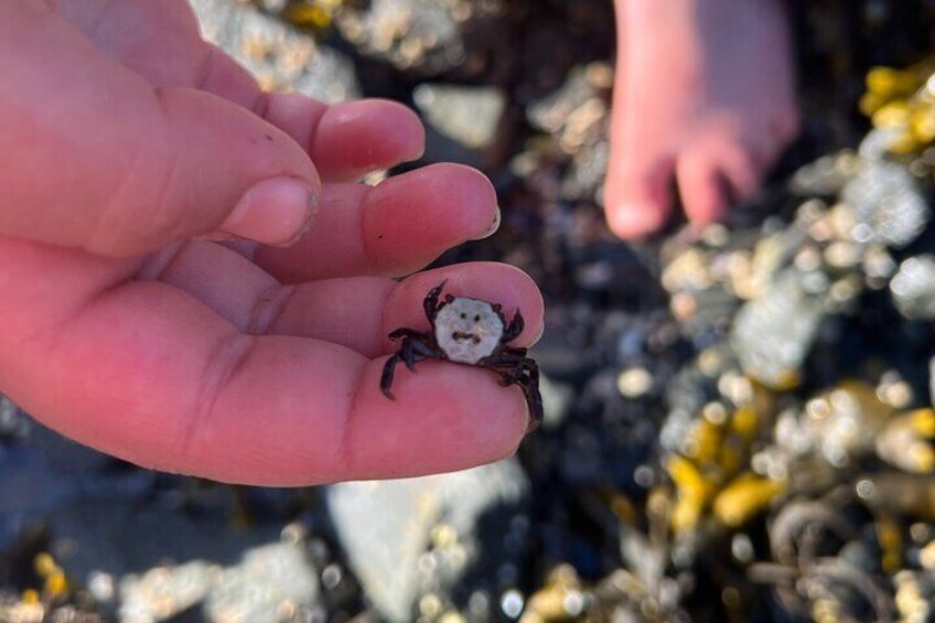 Ketchikan Low Tide Excursion & Beach Bonfire