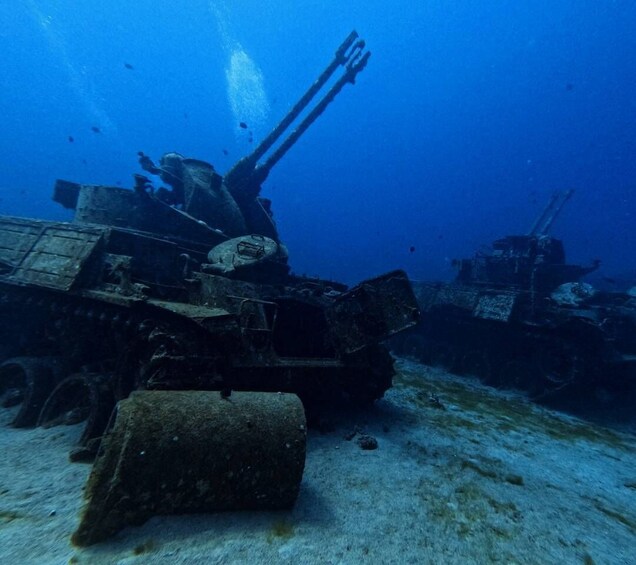 Picture 1 for Activity Aqaba's Red Sea: 2 Guided Dives From Shore