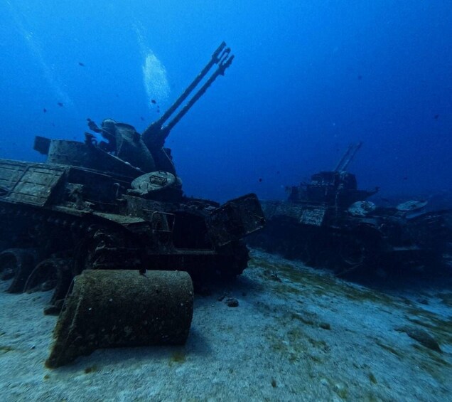 Picture 1 for Activity Aqaba's Red Sea: 2 Guided Dives From Shore