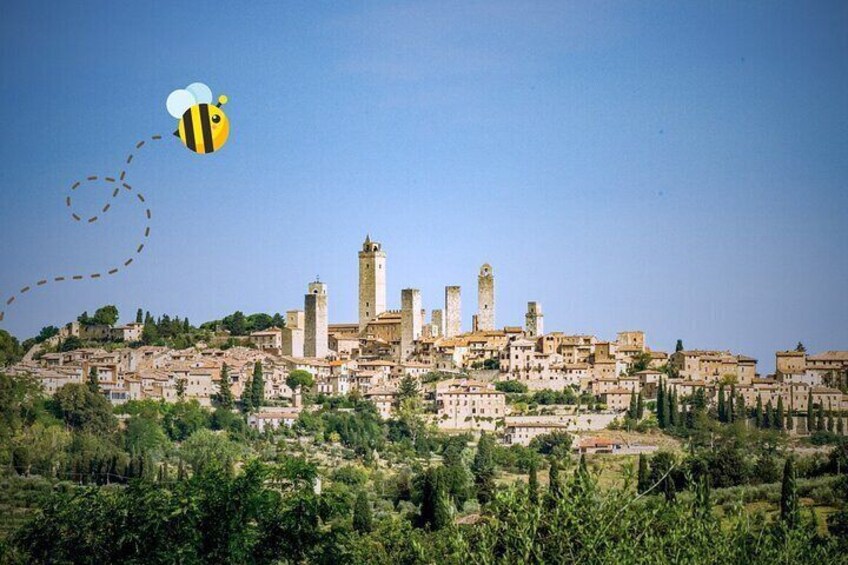 BuzzAround Tour - From Florence: Siena and San Gimignano Day Trip