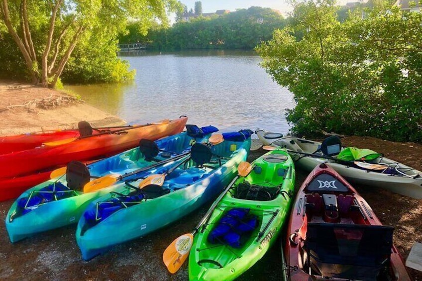 Siesta Key Guided Eco Tour