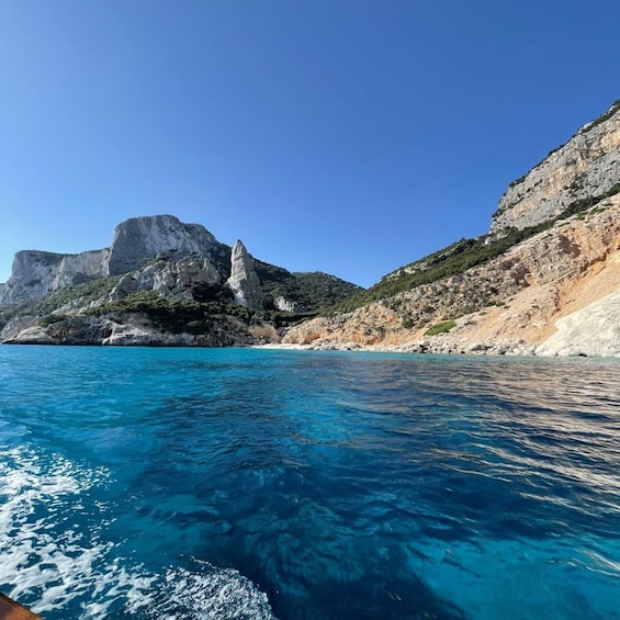 Picture 8 for Activity Arbatax: Gulf of Orosei Day Tour by Boat