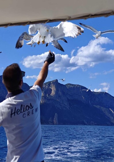 Picture 1 for Activity Arbatax: Gulf of Orosei Day Tour by Boat