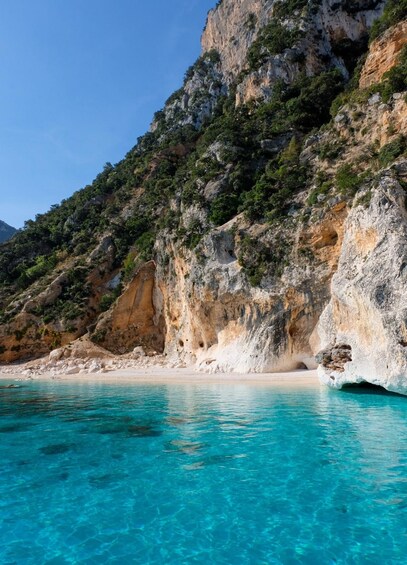 Picture 15 for Activity Arbatax: Gulf of Orosei Day Tour by Boat