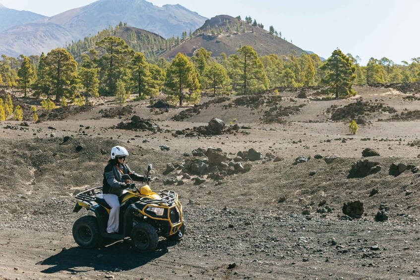 Picture 2 for Activity From Costa Adeje: Mount Teide Forest Off-Road Quad Bike Tour