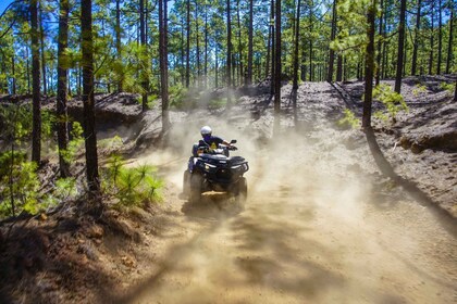 From Adeje: Mt. Teide Forest Off-Road Quad Tour